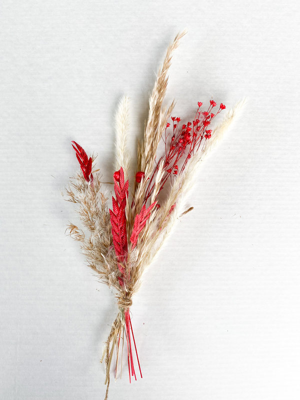 MINI Trockenblumensträuße / nature & red / 3 Stück