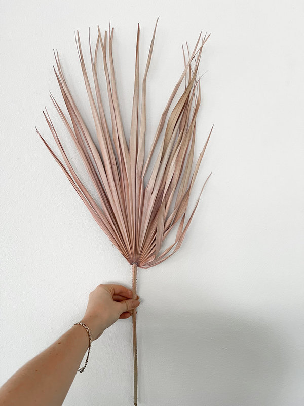 Palm Spear XL / rosa gewaschen / 1 Stück